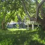 Patrik Betina (Sibenik-Knin)