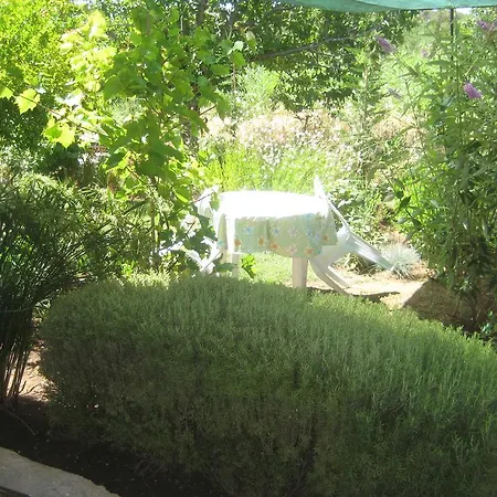 Patrik Betina (Sibenik-Knin)